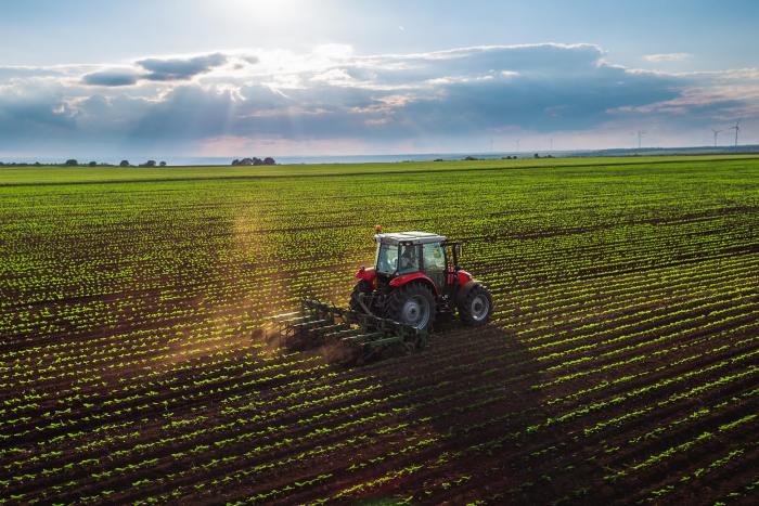 Técnico en producción agropecuaria Imagen