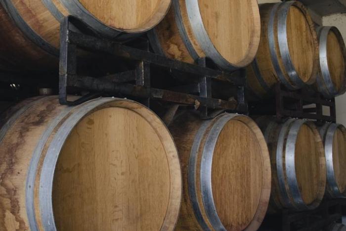 TÉCNICO EN ACEITES DE OLIVA Y VINOS Imagen