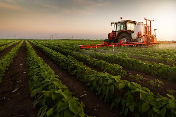 Técnico en producción agroecológica Imagen
