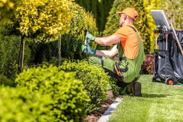 TÉCNICO MEDIO EN JARDINERÍA Y FLORISTERÍA Imagen