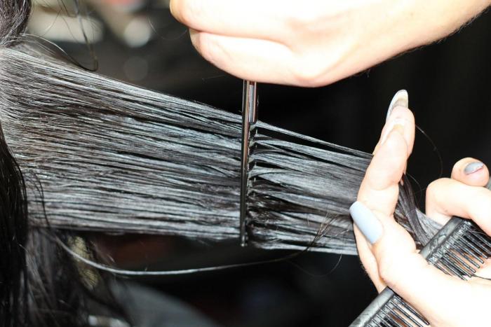 Técnico medio en peluquería y cosmética capilar Imagen