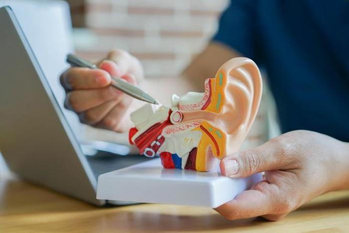 Técnico Superior en Audiología Protésica Imagen