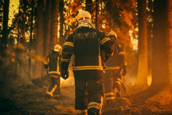 Técnico Superior en Coordinación Emergencias y Protección Civil Imagen