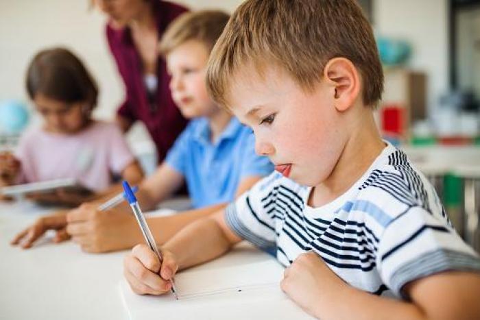 Técnico superior en educación infantil Imagen
