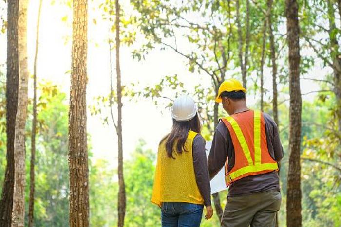 Técnico Superior en Gestión Forestal y del Medio Natural Imagen